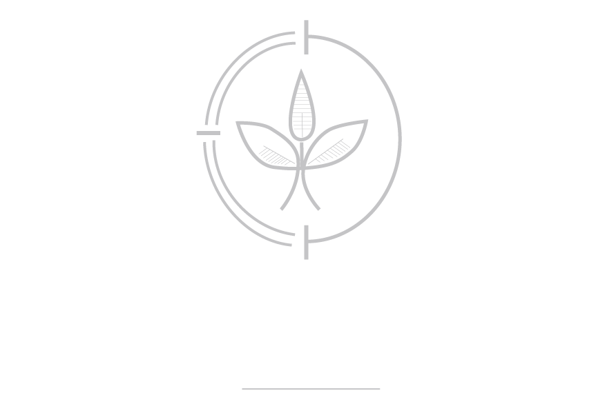 brotherhood paper