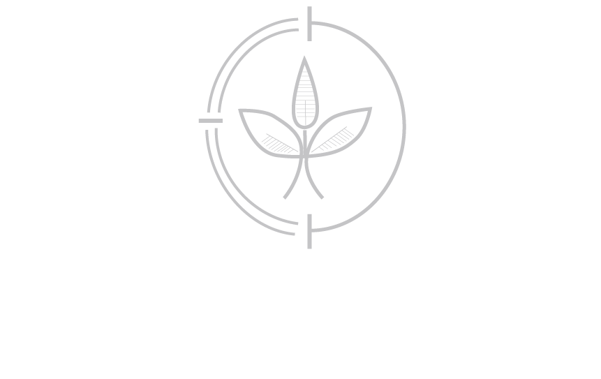 brotherhood paper